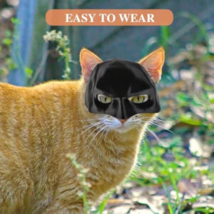 🎭🐱Black Bat Cat Mask – Handmade Superhero Cosplay for Indoor Cats