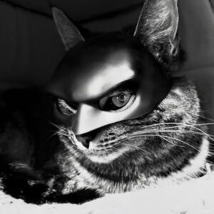 🎭🐱Black Bat Cat Mask – Handmade Superhero Cosplay for Indoor Cats