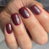 Elegant Plum Dream Short Square Glossy Press on Nail Set with a Stunning Deep Shine Finish